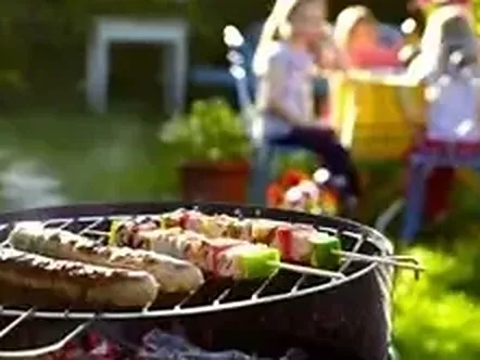 3. Barbeque Party Lawn