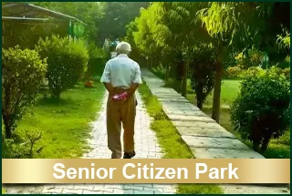 11. Senior Citizen Park