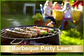 3. Barbeque Party Lawn
