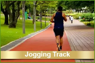 7. Jogging Track